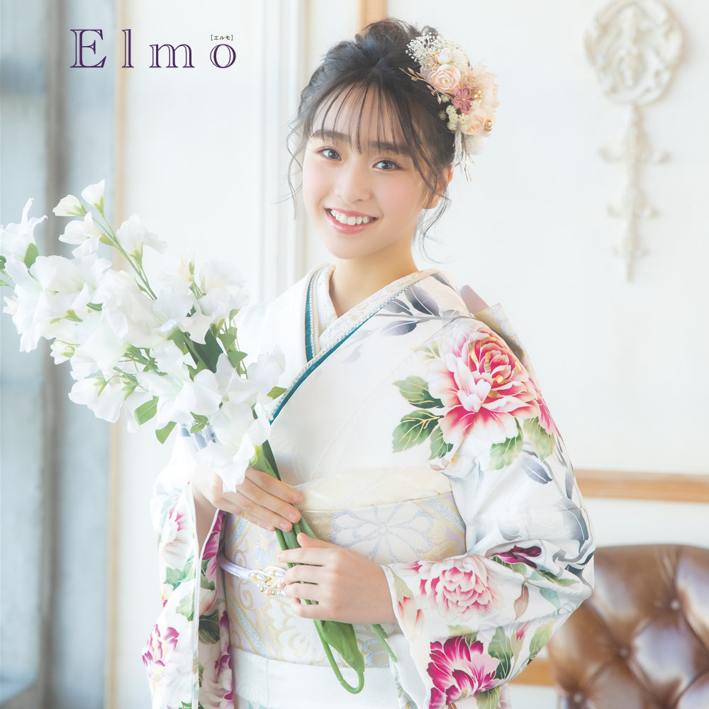 Elmo EL-301