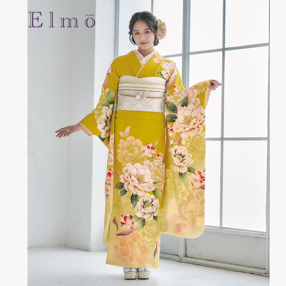 Elmo EL-304