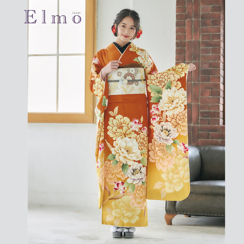 Elmo EL-305
