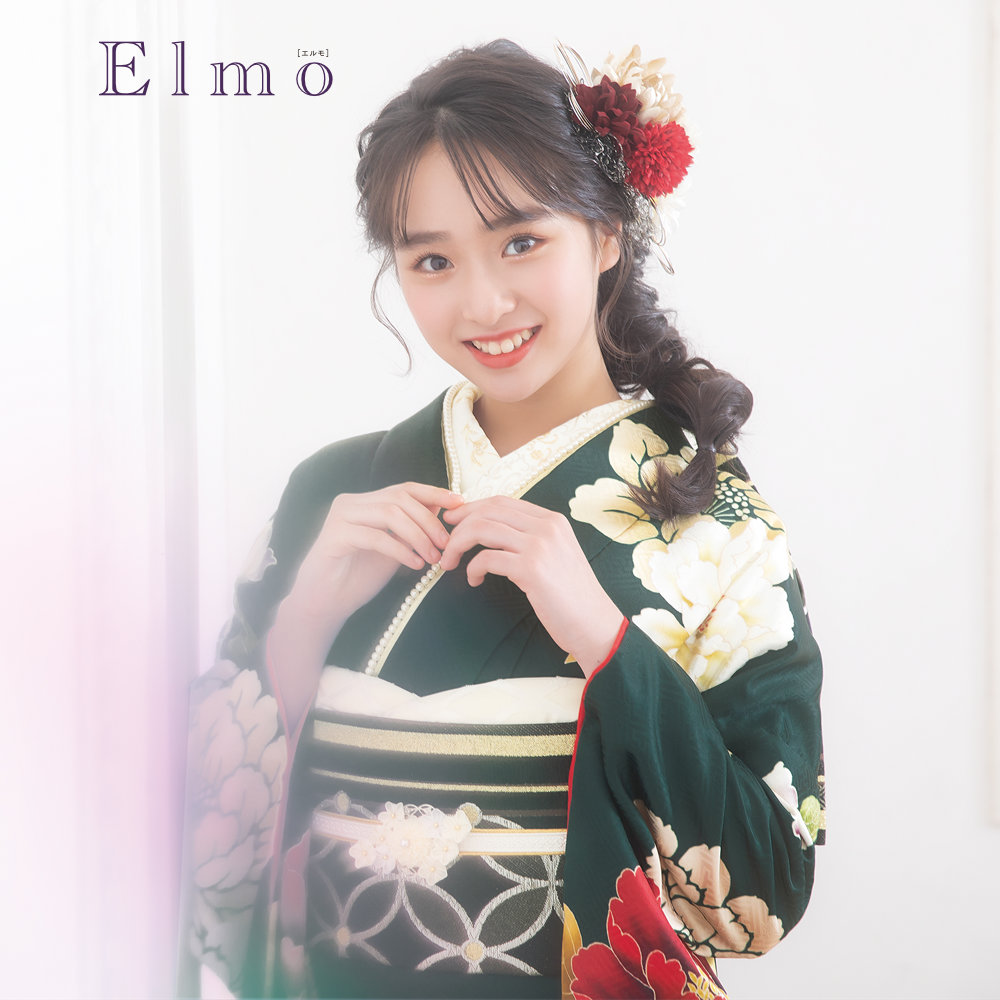 Elmo EL-309