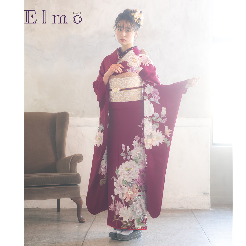 Elmo EL-310