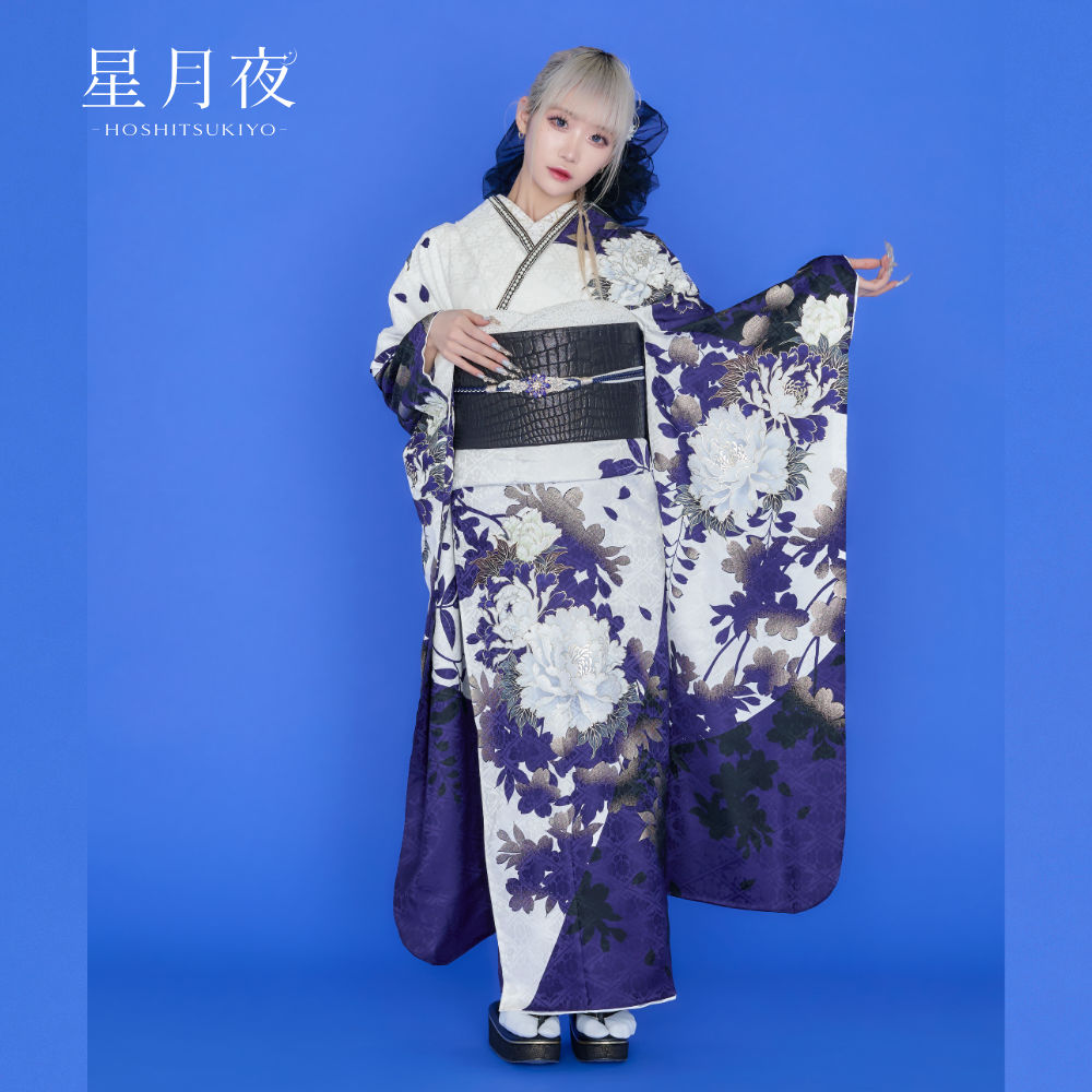 H-001 [星月夜（ほしつきよ）]