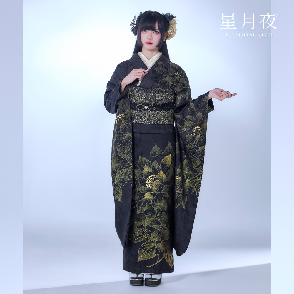 H-009 [星月夜（ほしつきよ）]