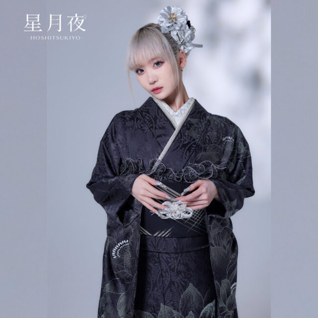 H-010 [星月夜（ほしつきよ）]