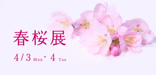 20230403春桜展