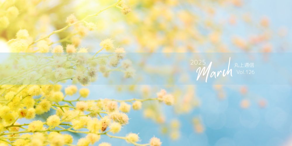 丸上通信2025年3月126号