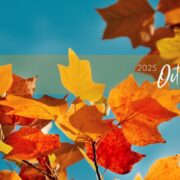 丸上通信2025年10月133号