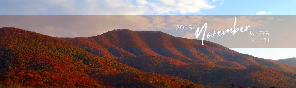 丸上通信2025年11月134号