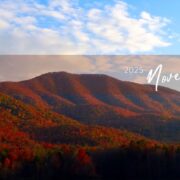 丸上通信2025年11月134号