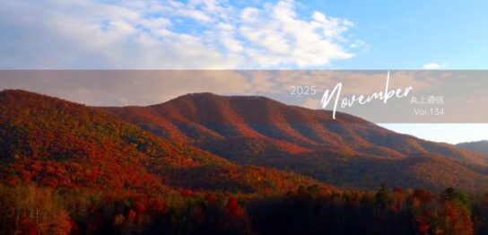 丸上通信2025年11月134号