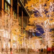 丸上通信2025年12月135号