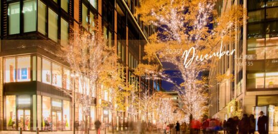 丸上通信2025年12月135号