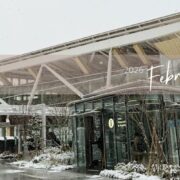 丸上通信2026年2月137号