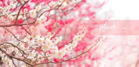 丸上通信2026年3月138号