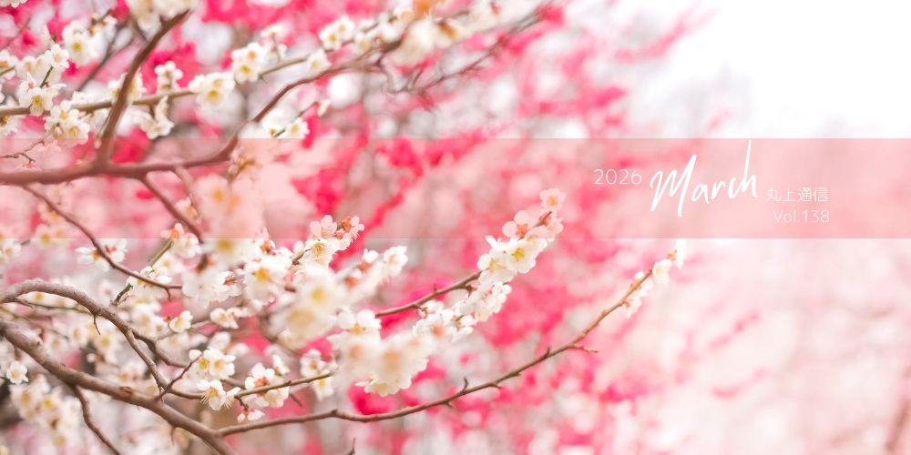 丸上通信2026年3月138号